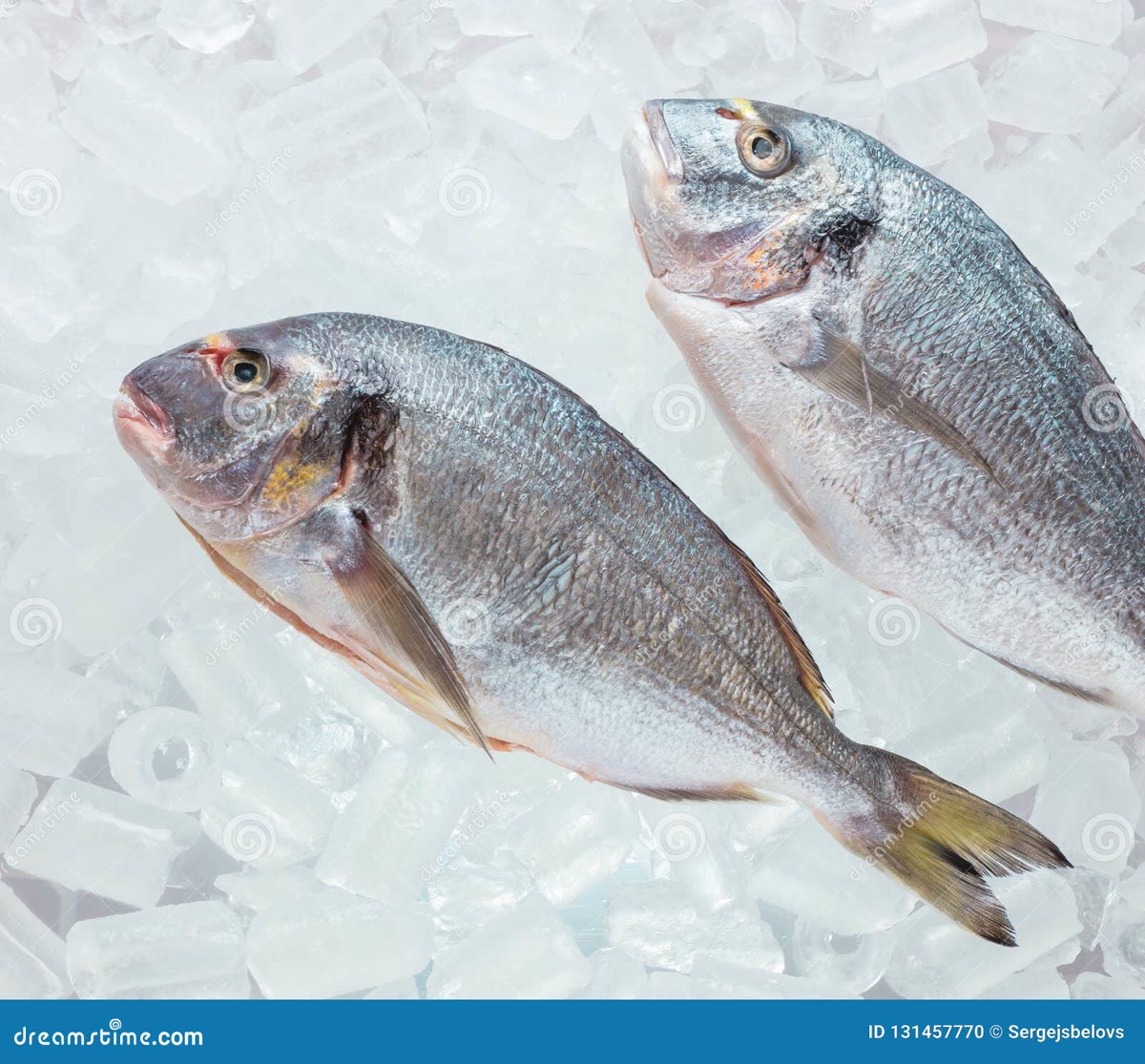 Frischer Fisch und mediterrane Fischprodukte